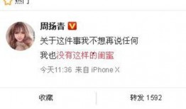 珠江台新闻爆料联系,揭秘重大新闻事件背后的真相